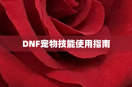 DNF宠物技能使用指南图片