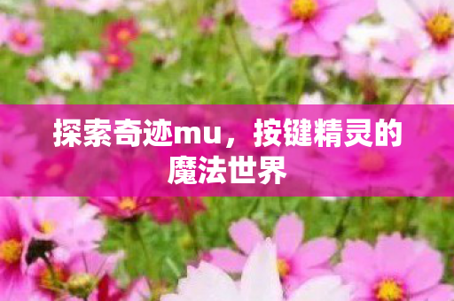 按键精灵的魔法世界图片