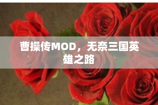 无奈三国英雄之路图片