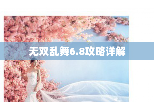 无双乱舞6图片