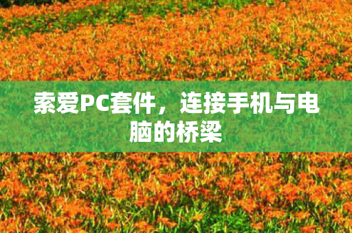 连接手机与电脑的桥梁图片