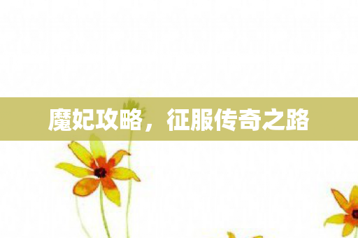 征服传奇之路图片