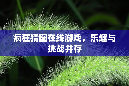 疯狂猜图在线游戏图片