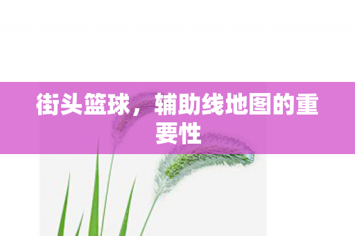 辅助线地图的重要性图片