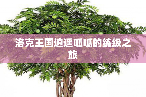 洛克王国逍遥呱呱的练级之旅图片
