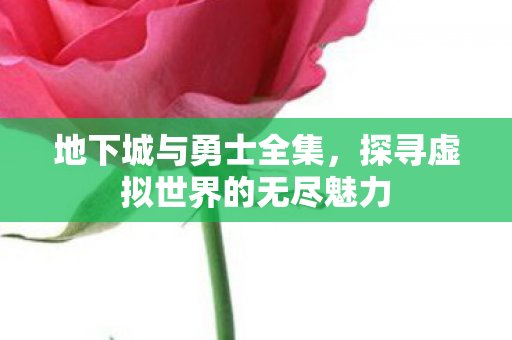 探寻虚拟世界的无尽魅力图片