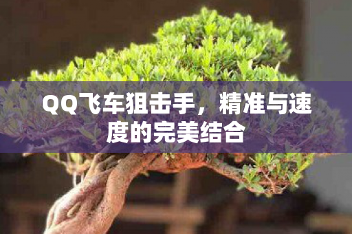 精准与速度的完美结合图片