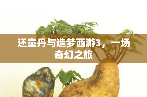 还童丹与造梦西游3图片