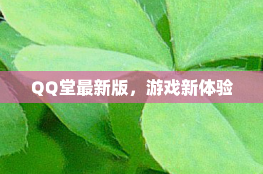 QQ堂最新版图片