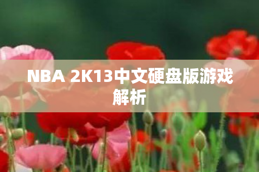 NBA 2K13中文硬盘版游戏解析图片