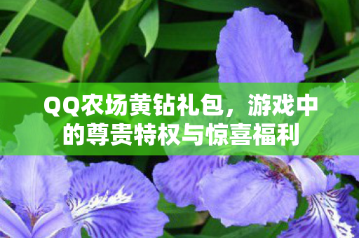 游戏中的尊贵特权与惊喜福利图片