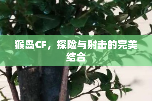 探险与射击的完美结合图片