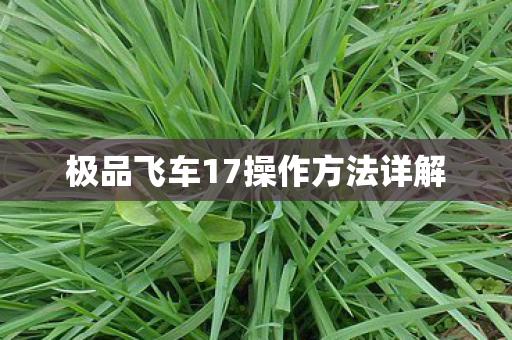 极品飞车17操作方法详解图片