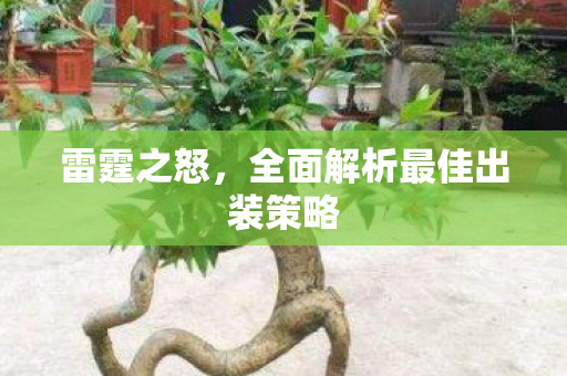 全面解析最佳出装策略图片