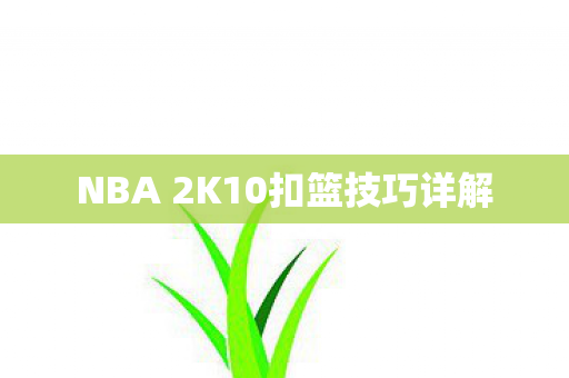 NBA 2K10扣篮技巧详解图片