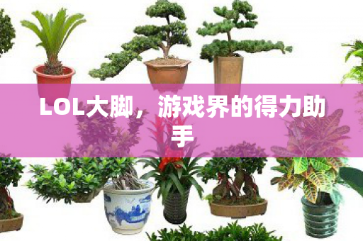 游戏界的得力助手图片