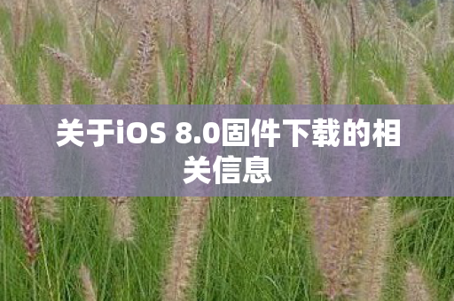 0固件下载的相关信息图片