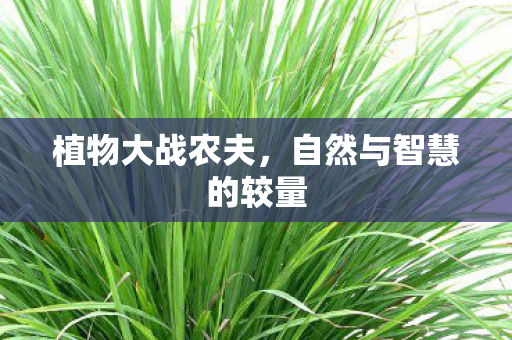 自然与智慧的较量图片