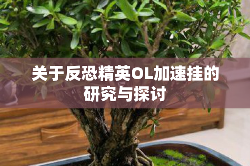 关于反恐精英OL加速挂的研究与探讨图片
