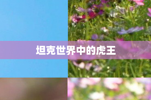 坦克世界中的虎王图片