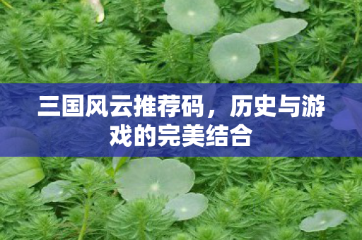 三国风云推荐码，历史与游戏的完美结合