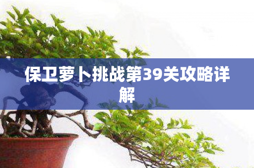 保卫萝卜挑战第39关攻略详解图片