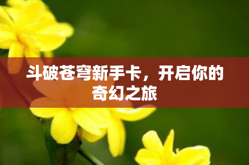 开启你的奇幻之旅图片