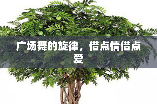广场舞的旋律图片