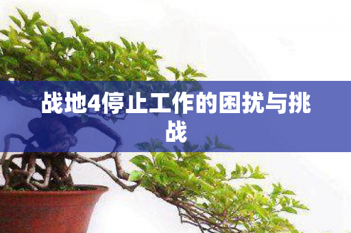 战地4停止工作的困扰与挑战图片