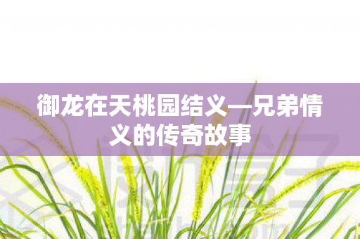 兄弟情义的传奇故事图片
