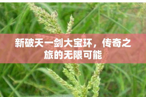 传奇之旅的无限可能图片