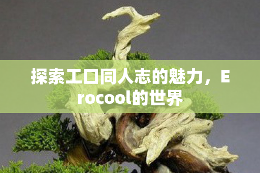 探索工口同人志的魅力,Erocool的世界 探索工口同人志的魅力,Erocool的世界