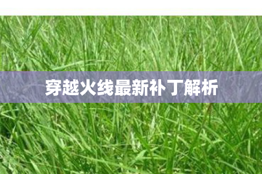 穿越火线最新补丁解析图片