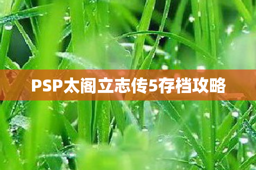 PSP太阁立志传5存档攻略 PSP太阁立志传5存档攻略