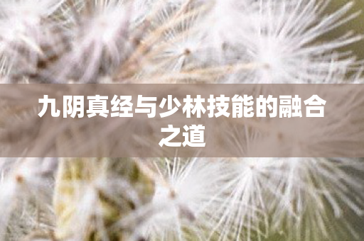 九阴真经与少林技能的融合之道图片