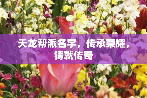 天龙帮派名字图片