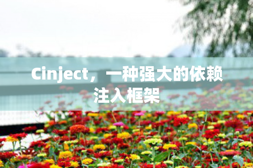 一种强大的依赖注入框架图片