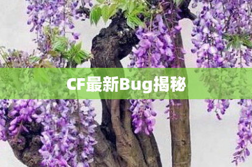 CF最新Bug揭秘图片