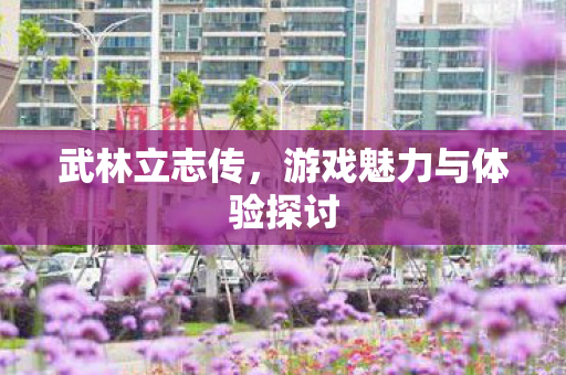 游戏魅力与体验探讨图片