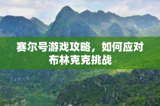 如何应对布林克克挑战图片