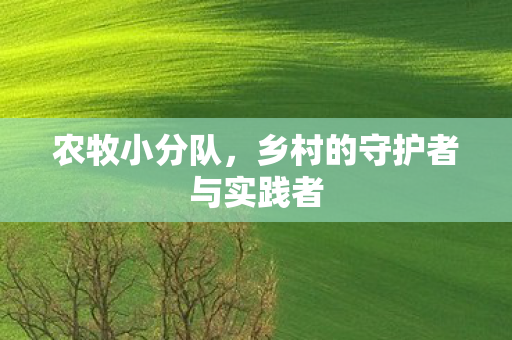 乡村的守护者与实践者图片