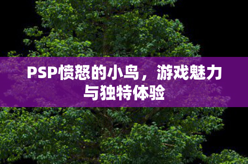 游戏魅力与独特体验图片