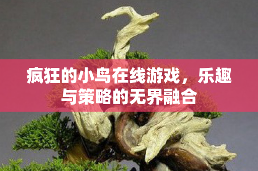 乐趣与策略的无界融合图片