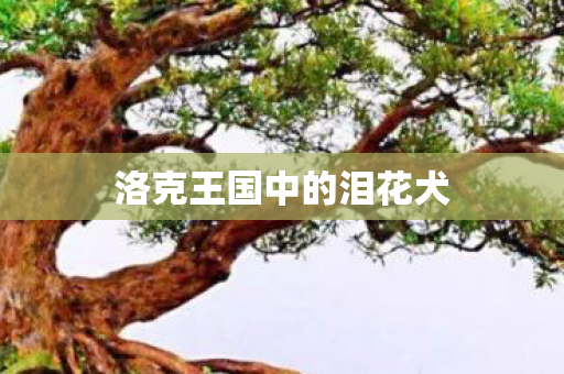 洛克王国中的泪花犬图片