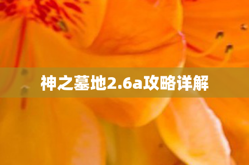 6a攻略详解图片