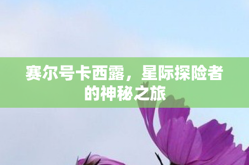 星际探险者的神秘之旅图片