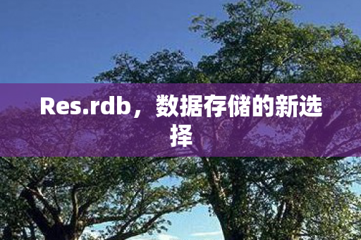 数据存储的新选择图片