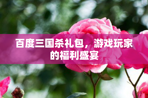 游戏玩家的福利盛宴图片