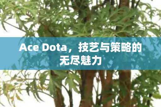 技艺与策略的无尽魅力图片