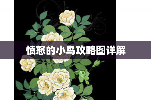 愤怒的小鸟攻略图详解图片